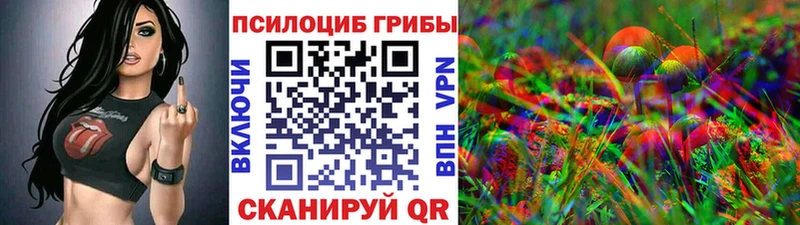 Галлюциногенные грибы Psilocybe  Купить где  Чекалин 