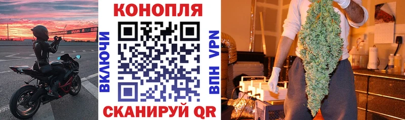 Купить закладки  Чекалин  МАРИХУАНА план 